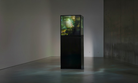 Maja Petric, ‘Specimens of Time: Hoh Rain Forest’, 2024: 광학 필터, 반사 재료, 프로젝터, 컴퓨터, 금속 하드웨어, 81.3 x 106.5 x 81 (제공: 작가 본인, 호파 갤러리)